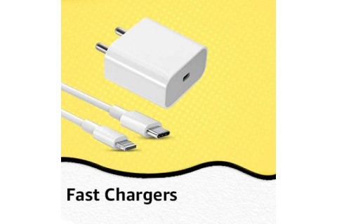 Fast charger 